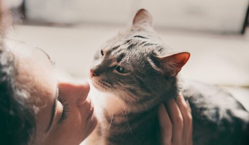 Πώς αντιλαμβάνονται οι γάτες τα ανθρώπινα συναισθήματα