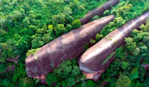 Πώς σχηματίστηκαν οι τρεις εντυπωσιακές «φάλαινες» της Ταϊλάνδης που μοιάζουν να... κολυμπούν μέσα στο δάσος