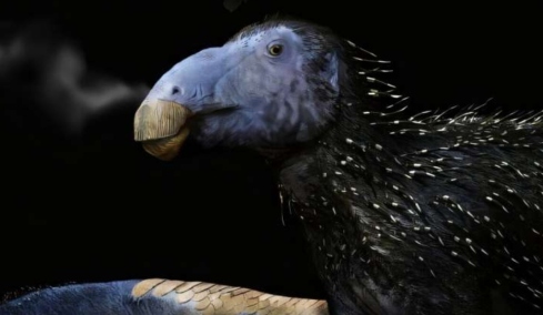 Ανακαλύφθηκε άγνωστο είδος δεινοσαύρου στην Κίνα: Εντοπίστηκε σχεδόν άθικτος σκελετός 125 εκατ. ετών