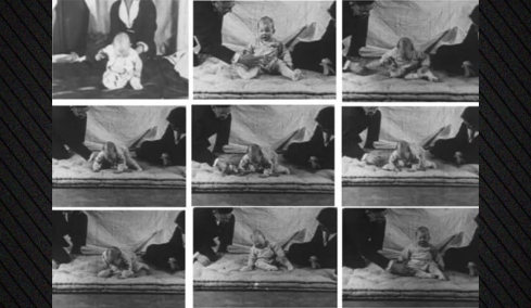 Ποιο ήταν το «Πείραμα του Μικρού Άλμπερτ» και γιατί θεωρείται ένα από τα πιο ανήθικα κεφάλαια στην ιστορία της ψυχολογίας