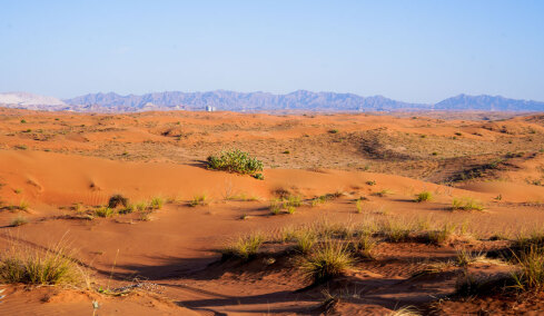 Γιατί ΗΑΕ και Σαουδική Αραβία εισάγουν εκατομμύρια τόνους άμμου ενώ «πνίγονται» από ερήμους