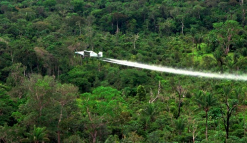 Η Κολομβία ξαναρχίζει την καταστροφή καλλιεργειών κόκας με τη χρήση γλυφοσάτης