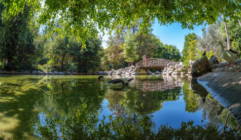 
Από το Αττικό Άλσος στον Εθνικό Κήπο: Κυριακάτικη βόλτα στα ωραιότερα πάρκα της πόλης
