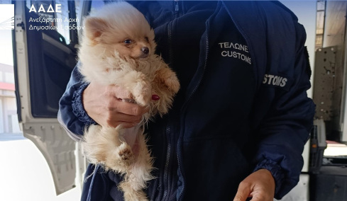 Ναρκωτικά, λαθραία τσιγάρα, αδήλωτο συνάλλαγμα σε μετρητά και… ρούβλια εντόπισε η ΑΑΔΕ: Σαρωτικοί έλεγχοι με X-Ray και τον Έλβις