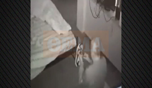 Ξεσπά η μητέρα της 25χρονης ΑμεΑ στην Κυψέλη: Αηδιαστικό το βίντεο από το σπίτι μου, εάν το δείξουν θα καταλάβουν όλοι με τι έκτρωμα έχουμε να κάνουμε