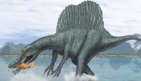 Εντοπίστηκε νέο είδος Σπινόσαυρου: Ζούσε σε ποτάμια πριν από 95 εκατ. χρόνια αλλά ίσως δεν ήταν κολυμβητής