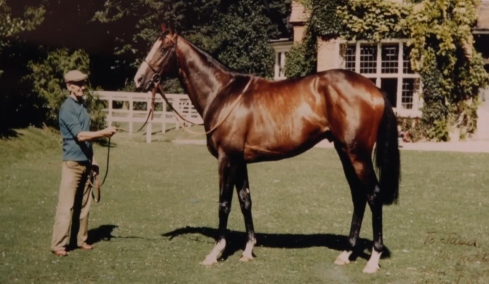 Η απαγωγή του πιο ακριβού αλόγου στον κόσμο που παραμένει άλυτο μυστήριο από το 1983