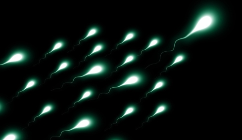 Προσομοίωση δείχνει τι συμβαίνει στο σπέρμα εάν παραμείνει μέσα στο σώμα