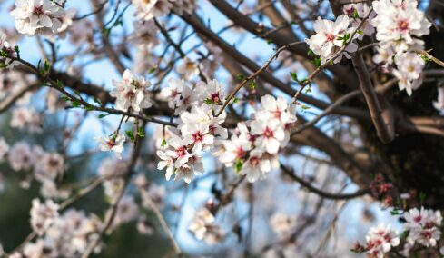 5 στιγμές χαράς που έρχονται με τις πρώτες μέρες της Άνοιξης
