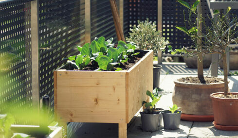 Ανοιξιάτικα λαχανικά που μπορούν να μετατρέψουν το μπαλκόνι σε μικρό μποστάνι