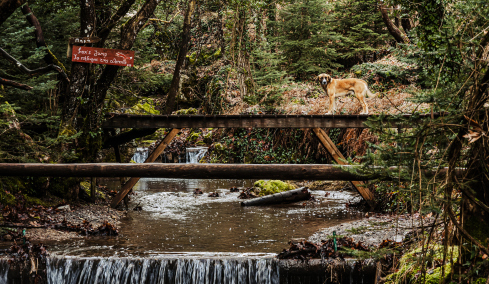 5 προορισμοί στην Ελλάδα για ανοιξιάτικες αποδράσεις -Ξεκούραση και ησυχία στην αναγεννημένη Φύση