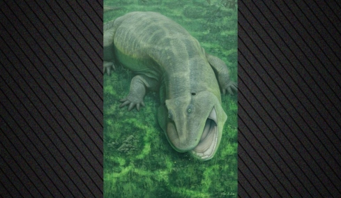 Ανακαλύφθηκε παράξενο προϊστορικό ζώο με στριμμένη γνάθο και δόντια που κοιτούσαν στο πλάι που ζούσε πριν από 275 εκατ. χρόνια