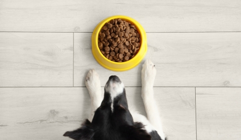 Επιτροπή Ανταγωνισμού: Πρόστιμα σχεδόν 500.000 ευρώ σε εταιρείες ζωοτροφών για καθορισμό τιμών μεταπώλησης