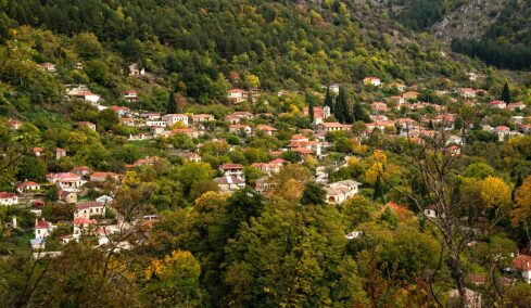 Από την Αθήνα στο Βασιλικό Πωγωνίου: Ένας πρώην ηχολήπτης προσπαθεί να κρατήσει ζωντανό το χωριό