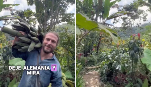Γερμανός άφησε την Ευρώπη για να γίνει αγρότης στα βουνά της Κολομβίας: «Αποφάσισα να ριζώσω»