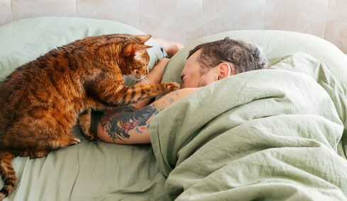 6 πράγματα που σας λέει η γάτα σας αγγίζοντας το πρόσωπό σας