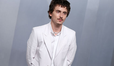 Έπεσε ο Τιμοτέ Σαλαμέ στα σκαλιά των Όσκαρ; Η αλήθεια πίσω από τη viral φωτογραφία