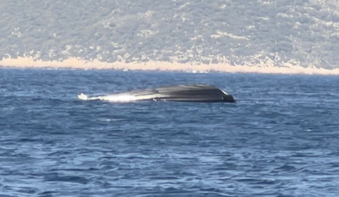 Σκάφος της Frontex στο οποίο επέβαινε η Εσθονή πρέσβης βούλιαξε στο Καστελλόριζο, τρεις οι τραυματίες - Δείτε βίντεο
