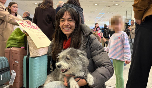 Τα «σκυλιά του πολέμου»: Ολοκληρώθηκε η επιχείρηση «Κιβωτός», επέστρεψαν από το Ντουμπάι 90 ιδιοκτήτες με περίπου 100 ζώα, δείτε βίντεο και φωτογραφίες