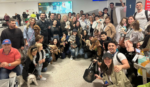 Τα «σκυλιά του πολέμου»: Ολοκληρώθηκε η επιχείρηση «Κιβωτός», επέστρεψαν από το Ντουμπάι 90 ιδιοκτήτες με περίπου 100 ζώα, δείτε βίντεο και φωτογραφίες