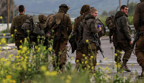 anatinaksi-gefyras-hor