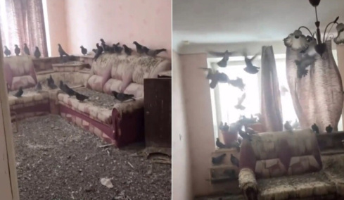 Ρώσος άφησε το παράθυρο ανοιχτό για 3 χρόνια και το διαμέρισμά του έγινε αποικία περιστεριών (vid)