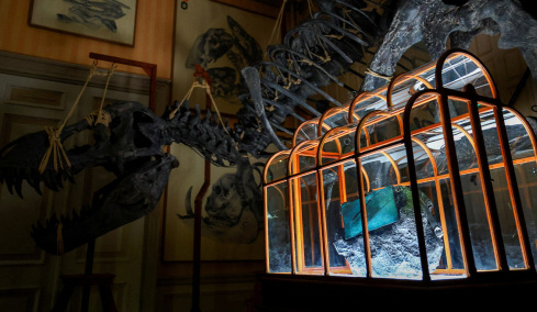 Τσάντα από καλλιεργημένο δέρμα... τυραννόσαυρου θα δημοπρατηθεί στο Άμστερνταμ, δείτε φωτογραφίες