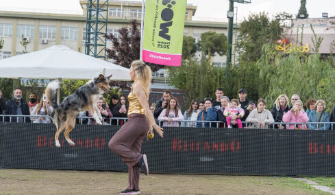 Τι θα δούμε φέτος στον κεντρικό στίβο του Woof Festival | Topetmou.gr