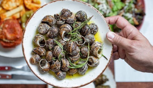 Σαλιγκάρια: Πώς καθαρίζονται σωστά και 6 δοκιμασμένες συνταγές για να τα μαγειρέψετε