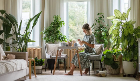 Ποιο φυτό εσωτερικού χώρου καθαρίζει τον αέρα έως και 90% σε 24 ώρες
