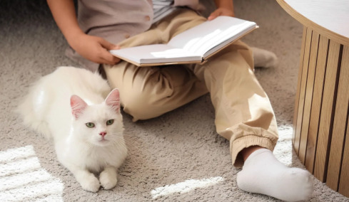 Δείτε πόσες λέξεις μπορείτε να μάθετε στη γάτα σας