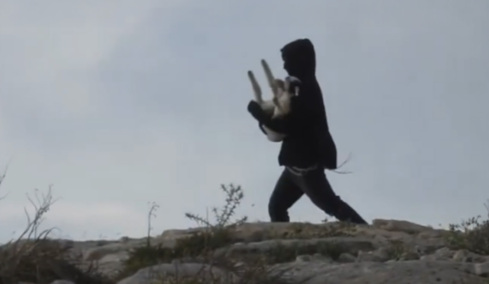 Δείτε βίντεο: Ισραηλινοί έποικοι στη Δυτική Όχθη κλέβουν αρνιά από παλαιστινιακό οικισμό