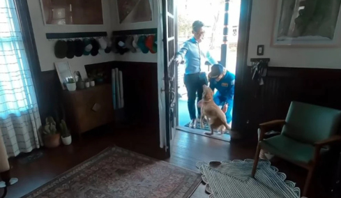 Η αστροναύτης του Artemis II βλέπει το σκυλάκι της μετά από μέρες - Η επανένωση έγινε viral στο διαδίκτυο, δείτε το βίντεο