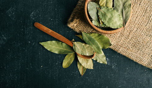 Δάφνη κάτω από το χαλί: Το απλό μυστικό για σπίτι που μοσχοβολάει φρεσκάδα