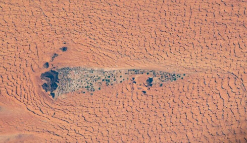 Η φωτογραφία της NASA που τραβήχτηκε από ύψος 420 χλμ: Το «πράσινο θαύμα» της ερήμου