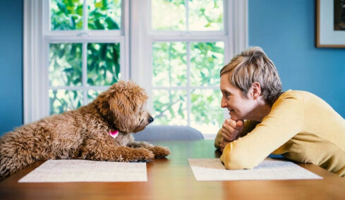 Οικογένεια προσφέρει 68.000 ευρώ και διαμονή για φροντίδα του σκύλου της: Αυτές είναι οι απαιτήσεις εργασίας
