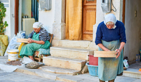 Μαστίχα: Tο δάκρυ της Χίου, η ευλογία ενός τόπου