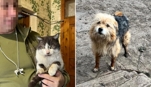 Συγκινητική διάσωση: Στρατιώτες στην Ουκρανία μετέφεραν γάτα και σκύλο με drone από την πρώτη γραμμή του πολέμου