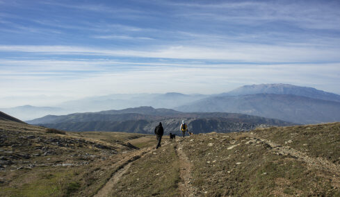 Οι κορυφαίες δραστηριότητες στον Κίσσαβο και την Κοιλάδα των Τεμπών
