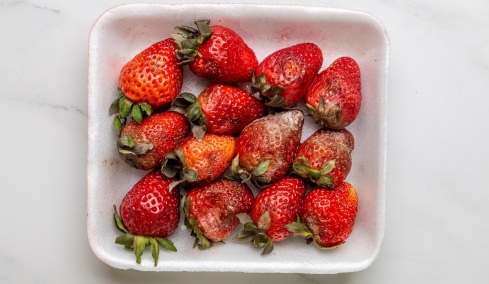 Γιατί μουχλιάζουν τόσο γρήγορα οι φράουλες; – Tο απλό λάθος που κάνουμε όλοι