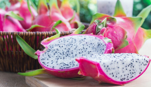 Ξυλουργός φύτεψε 450 δέντρα και παράτησε τη δουλειά του για να ζήσει αποκλειστικά από αυτό: «Είμαι 100% αυτάρκης»