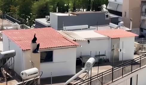 «Τα παιδιά 8 και 9 ετών φορούσαν πάνες, ήταν σαν στρατιωτάκια»: Νέα καταγγελία για την οικογένεια που έμενε μέσα σε ακαθαρσίες στο Περιστέρι