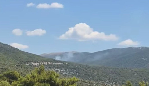 Υπό μερικό έλεγχο η φωτιά σε δασική έκταση στα Βίλια, σηκώθηκαν 7 εναέρια