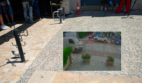 Βίντεο: Η στιγμή που απομακρύνουν το λυκόσκυλο από το σημείο της άγριας επίθεσης στα Βριλήσσια - «Ακούσαμε φωνές και είδαμε έναν άνδρα πεσμένο»