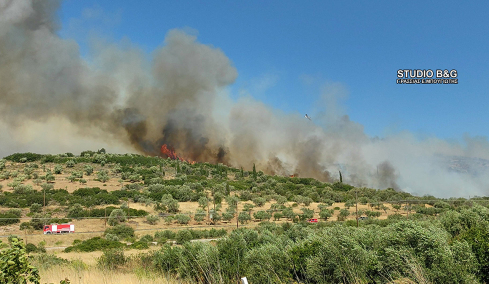 Νέα φωτιά στην Αργολίδα, κοντά στις Μυκήνες - Μαίνεται η πυρκαγιά στη Βοιωτία, μπαράζ από μηνύματα του 112 για εκκενώσεις