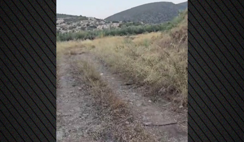 Βίντεο: Εδώ εντοπίστηκε η σορός του ψυχολόγου που δολοφόνησαν Ινδοί στο Ναύπλιο, σε αγροτική περιοχή θαμμένη κάτω από δέντρα
