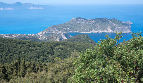 Η χαλέπιος πεύκη στο δάσος της Σίβηρης έχει τη δύναμη να ξαναγίνει δάσος, λέει καθηγητής του ΑΠΘ