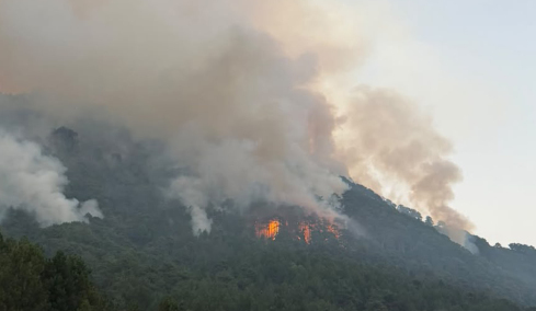 Μαίνεται η μεγάλη φωτιά στην περιοχή της Τραπεζίτσας στην Κόνιτσα: Πάνω από 150 πυροσβέστες και 12 ενάερια μέσα στη μάχη με τις φλόγες