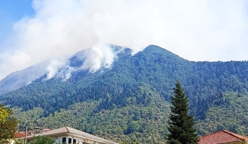 Υπό έλεγχο έπειτα από 21 μέρες η πυρκαγιά στην Τραπεζίτσα Κόνιτσας, «χτύπησε» περίπου 10.000 στρέμματα δάσους