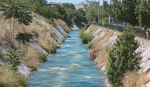 Στοιχεία σοκ για το οικολογικό έγκλημα στον Κηφισό: Έλλειψη οξυγόνου αφανίζει τα ψάρια 